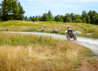 BSY_0446