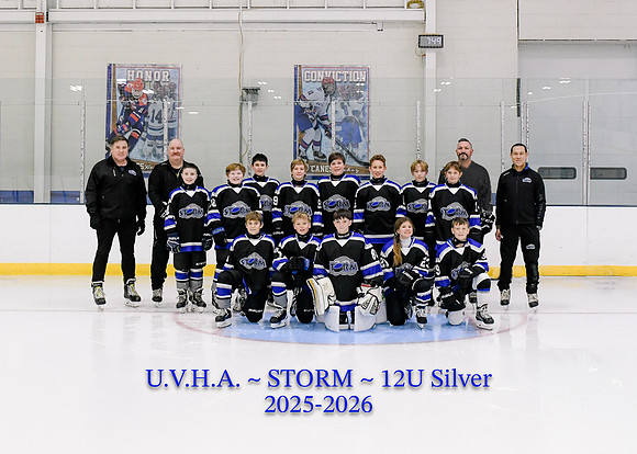 12U Silver