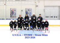 House Mites