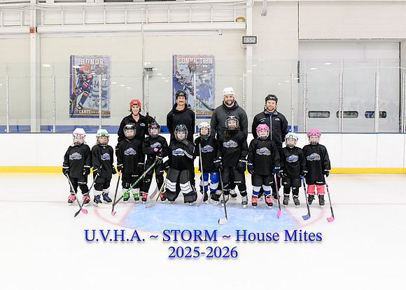 House Mites