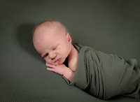 BSY_8198