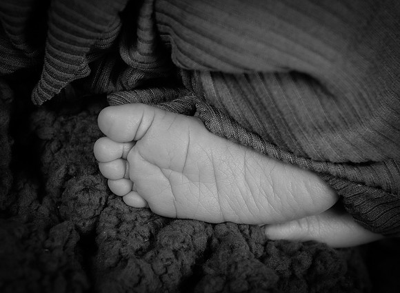 BSY_8288