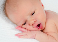 BSY_8348