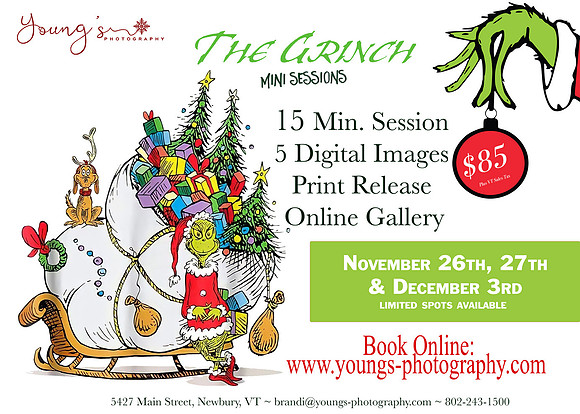 The Grinch Mini Session 2022