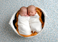 BSY_6501