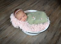 BSY_2936
