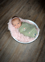 BSY_2921
