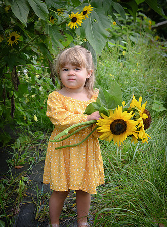 BSY_9146