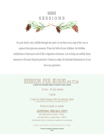 Mini Session2018