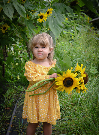 BSY_9147