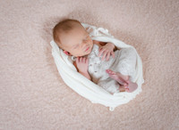 BSY_7232