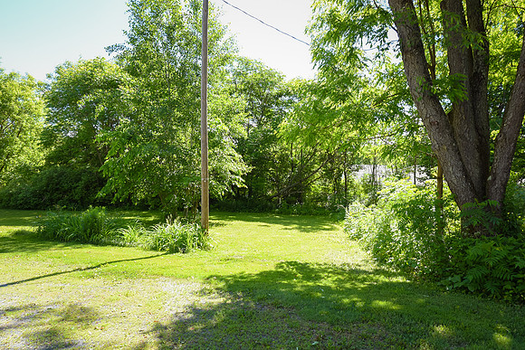 DSC_7426
